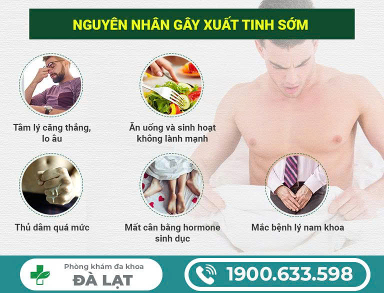 Hình ảnh minh họa